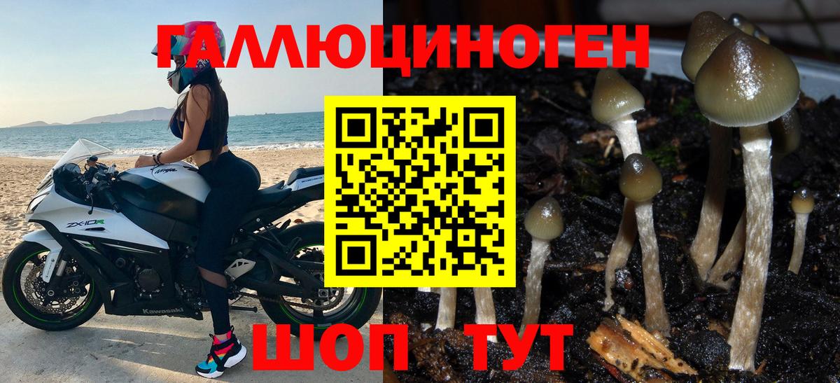 Белебей  Галлюциногенные грибы ЛСД  Вход с VPN 
