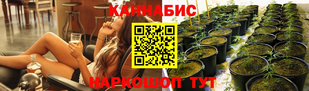 Бошки марихуана семена  Канабис сатива  Вход с VPN  Белебей  Конопля White Widow 